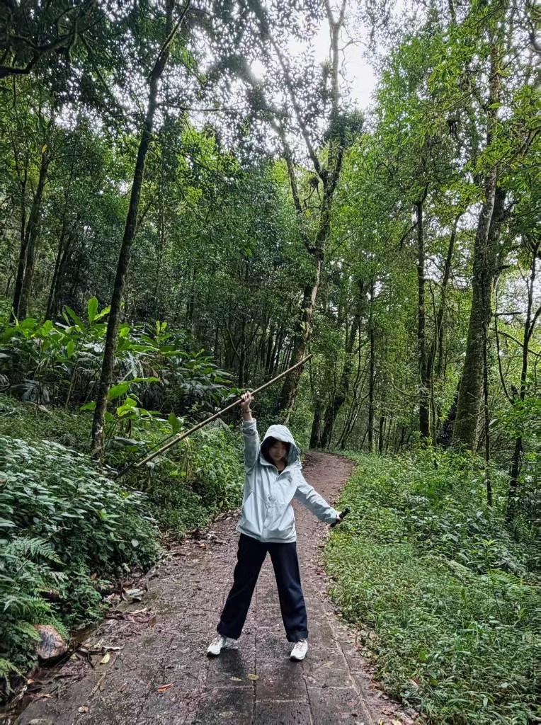 林间石径徒步，手持木枝的姿势